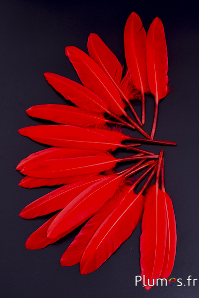 Oie Lame - 10-15 cm - rouge